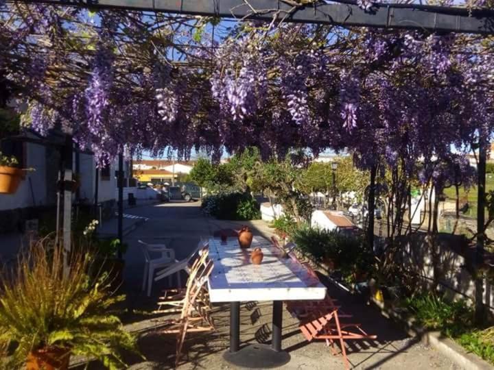 La Casa Barata, Casa Rural Cedillo Eksteriør bilde