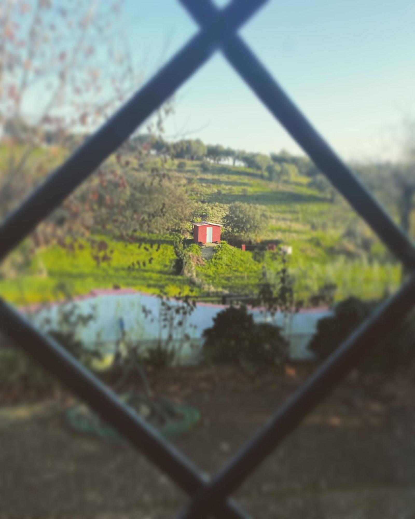 La Casa Barata, Casa Rural Cedillo Eksteriør bilde