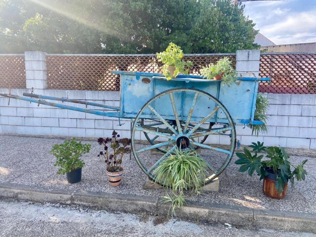 La Casa Barata, Casa Rural Cedillo Eksteriør bilde